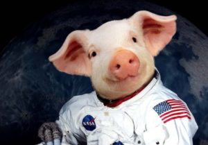 NASA pork barrel